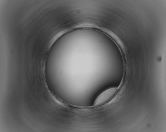 X0000101401337200807071020