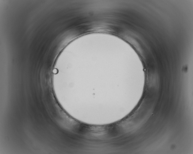 X0000101401338200807071020