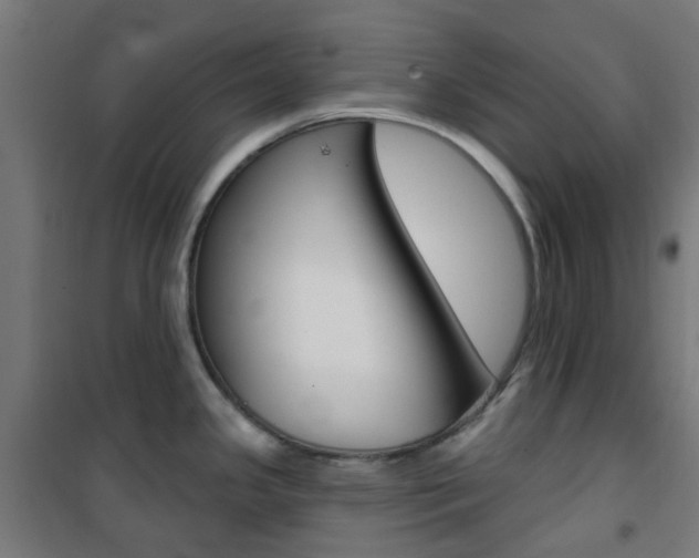 X0000101401341200807071020