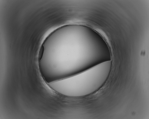 X0000101401344200807071020