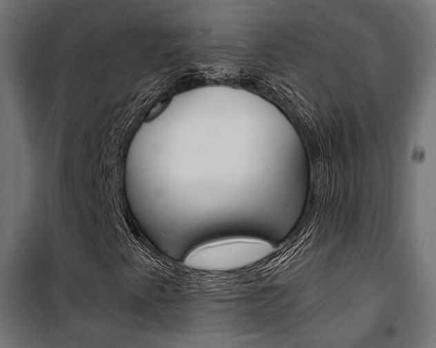 X0000101401345200807071020