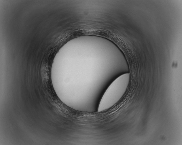 X0000101401346200807071020