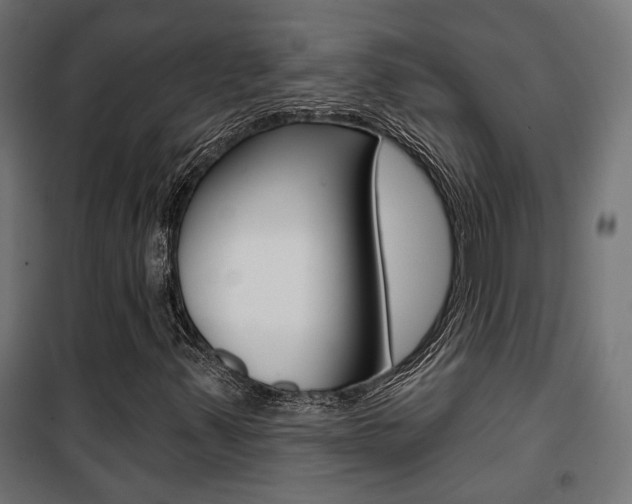 X0000101401347200807071020