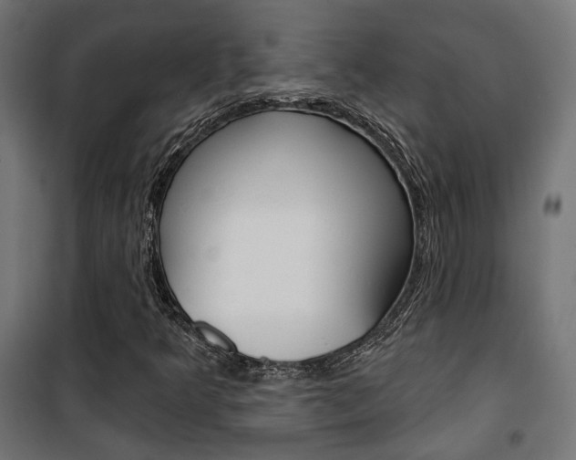 X0000101401349200807071020