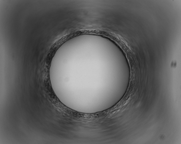 X0000101401350200807071019