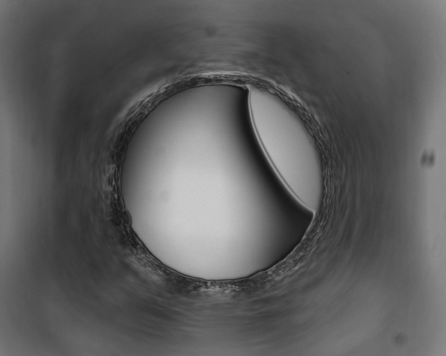 X0000101401351200807071019