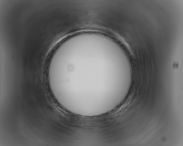 X0000101401352200807071019