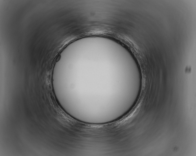 X0000101401353200807071019