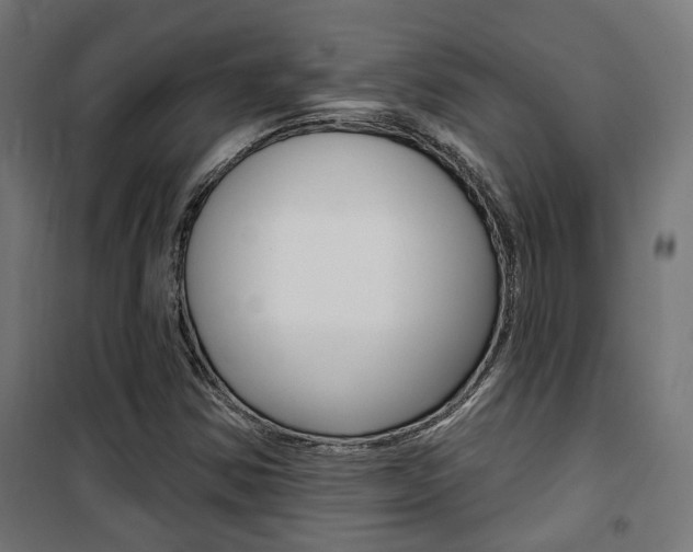 X0000101401354200807071019