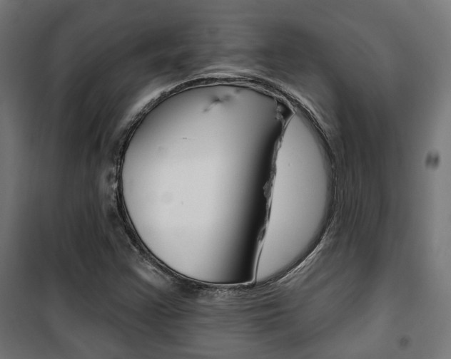 X0000101401355200807071019