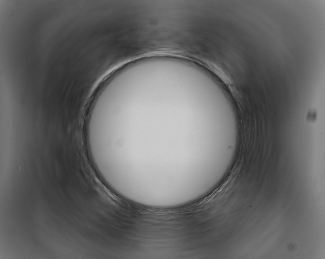 X0000101401356200807071019