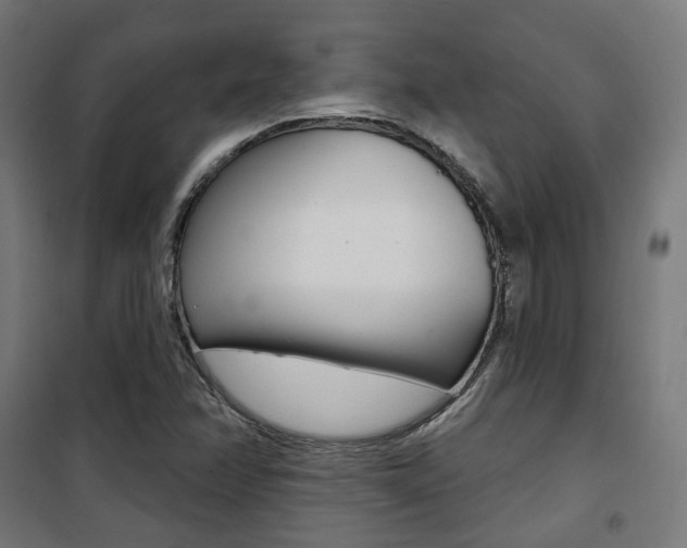 X0000101401358200807071019