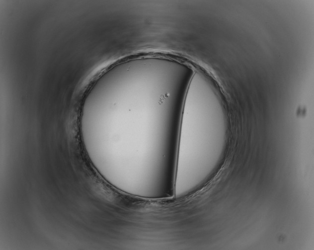 X0000101401359200807071019