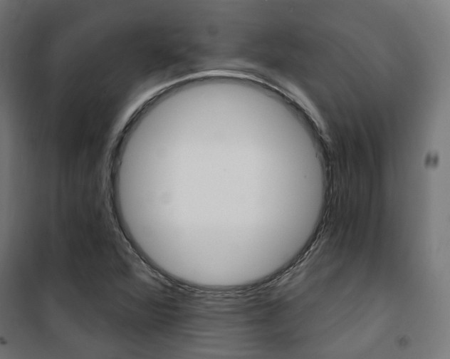 X0000101401360200807071019