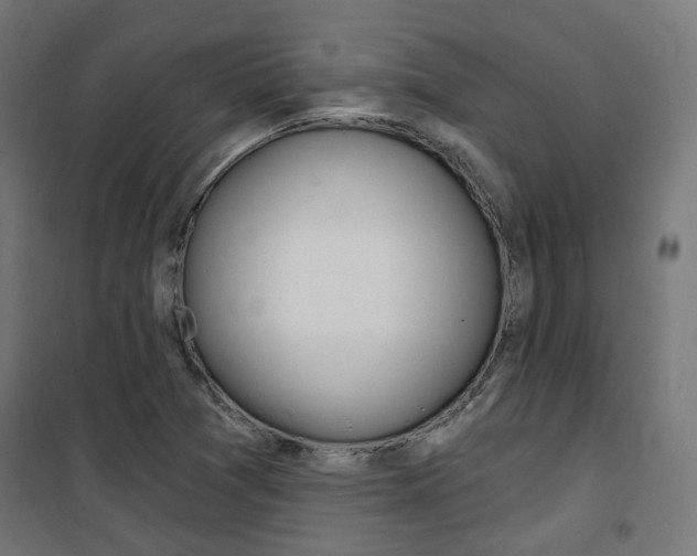 X0000101401361200807071019