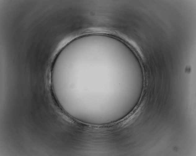 X0000101401365200807071019