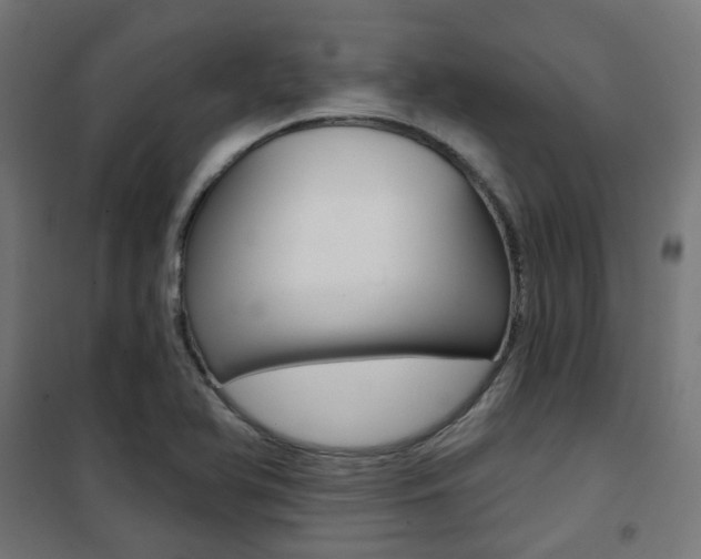 X0000101401366200807071019