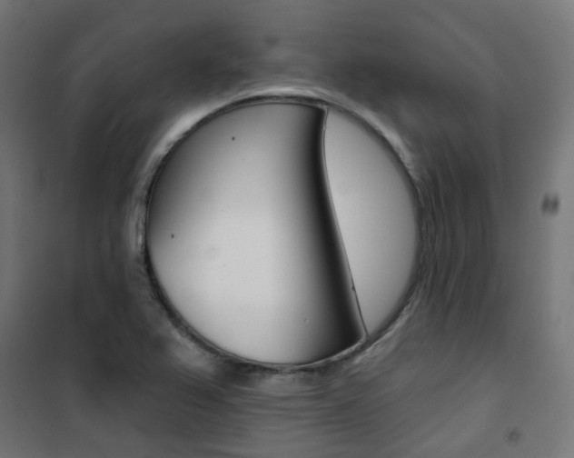 X0000101401367200807071019