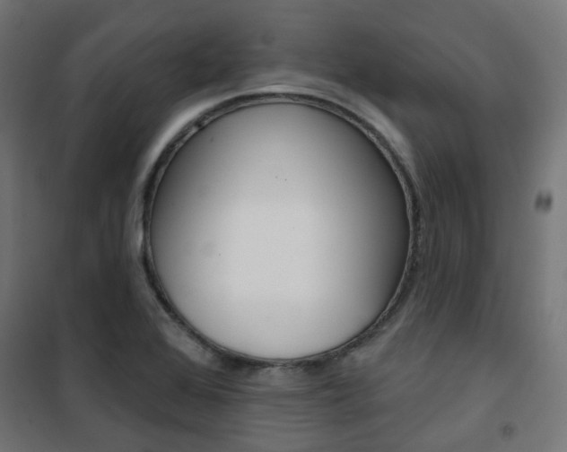 X0000101401368200807071019