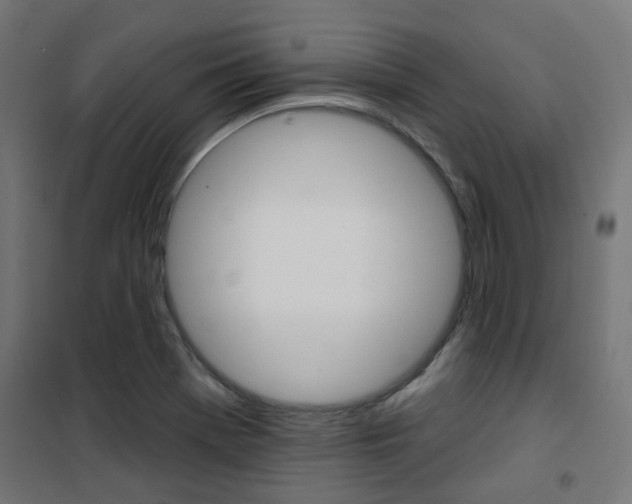 X0000101401369200807071019