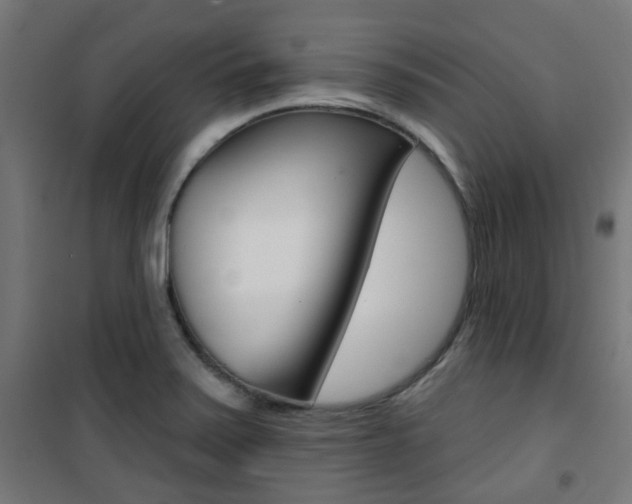 X0000101401371200807071019