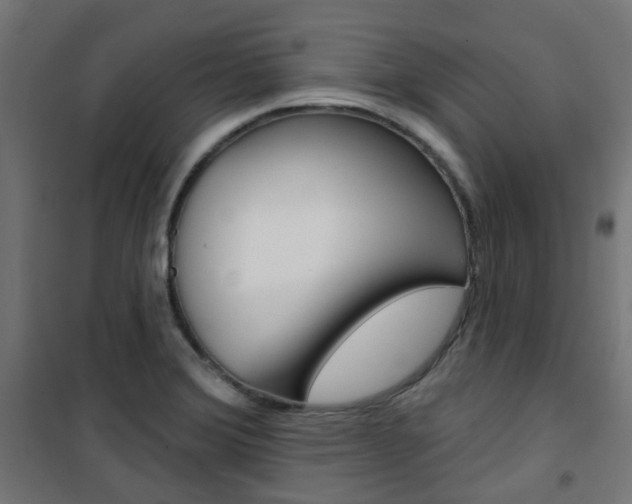 X0000101401372200807071019