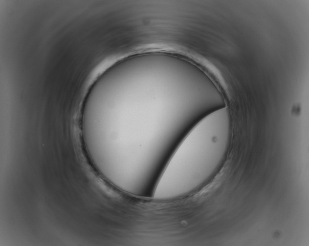 X0000101401373200807071019