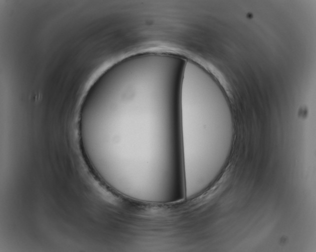 X0000101401375200807071019