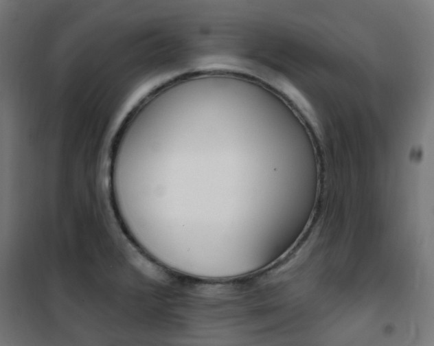 X0000101401376200807071019