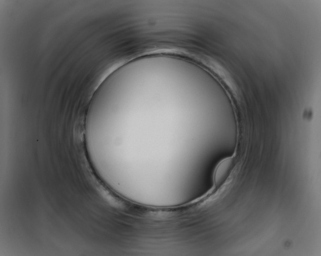 X0000101401377200807071019