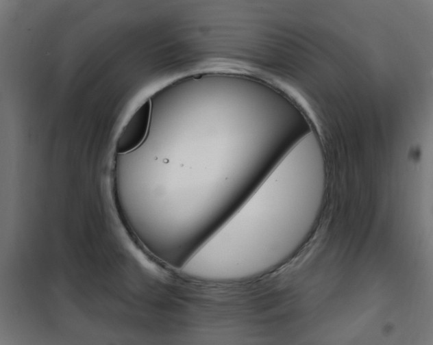 X0000101401379200807071019
