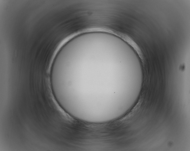 X0000101401380200807071019
