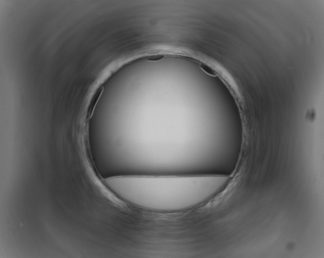 X0000101401381200807071019