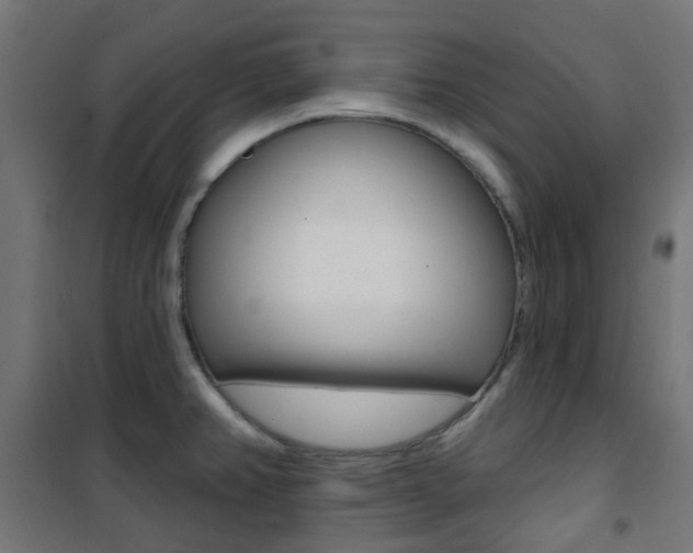 X0000101401382200807071019