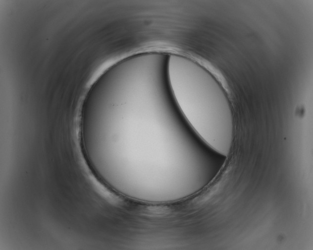 X0000101401383200807071019