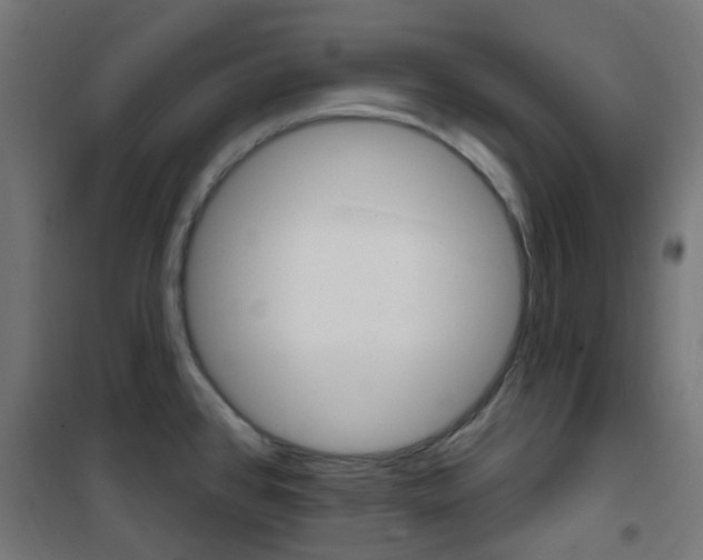 X0000101401384200807071019
