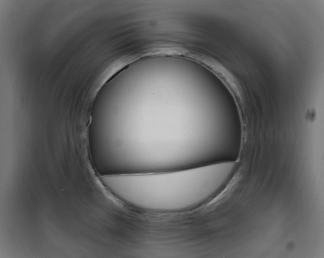 X0000101401385200807071019