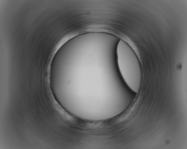 X0000101401386200807071019