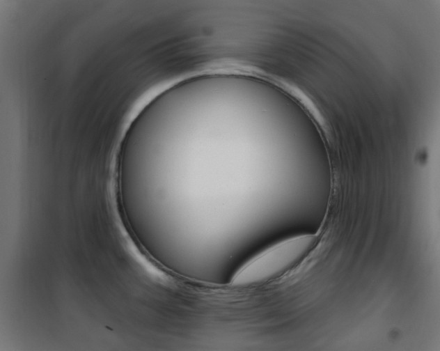 X0000101401387200807071019
