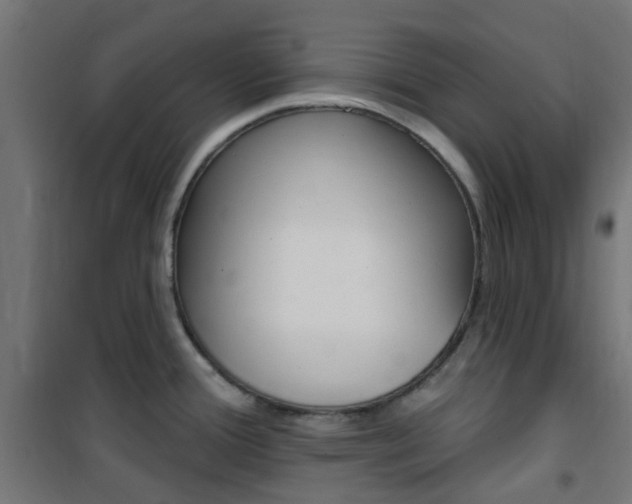 X0000101401388200807071019
