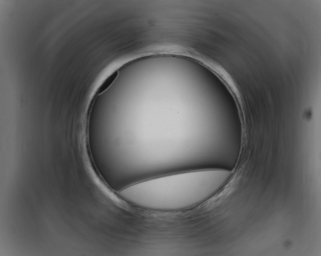 X0000101401389200807071019