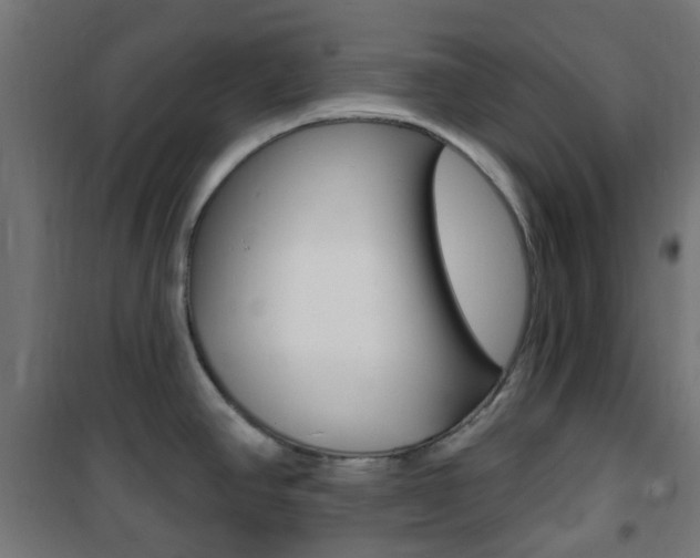 X0000101401390200807071019