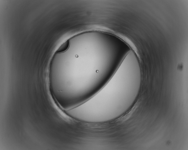 X0000101401391200807071019