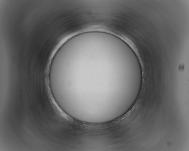 X0000101401392200807071019
