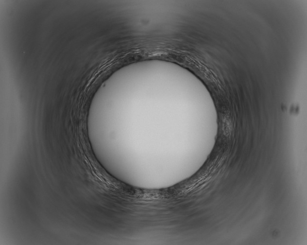 X0000101401393200807071018