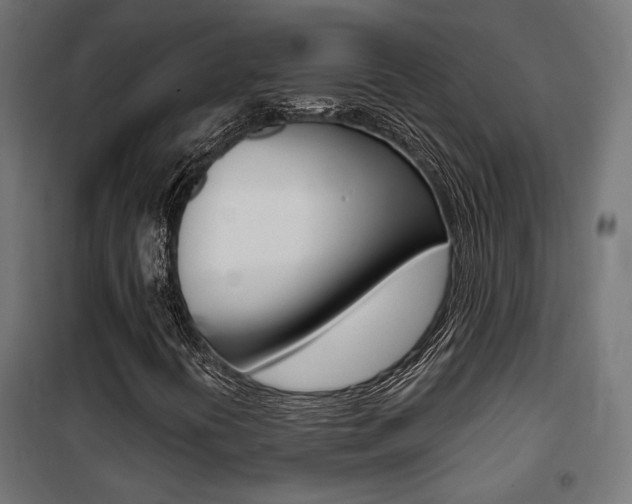 X0000101401394200807071018