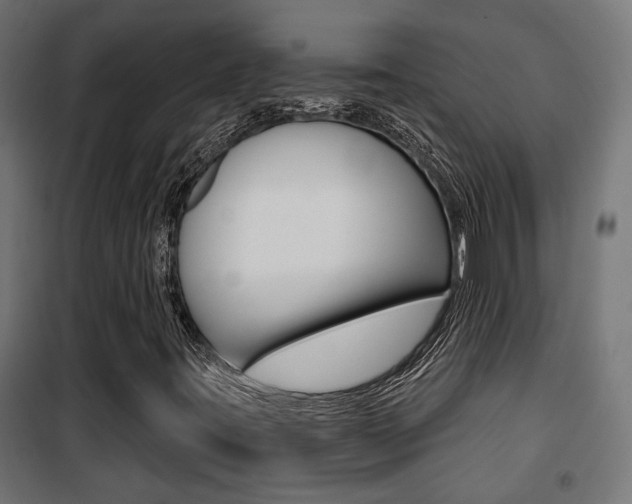 X0000101401395200807071018