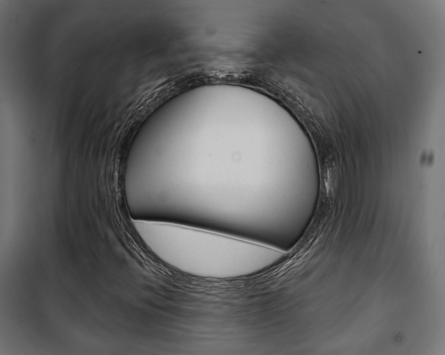 X0000101401396200807071018