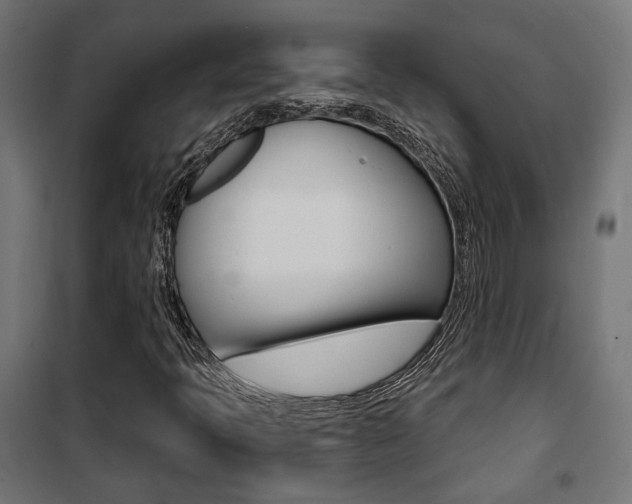 X0000101401397200807071018
