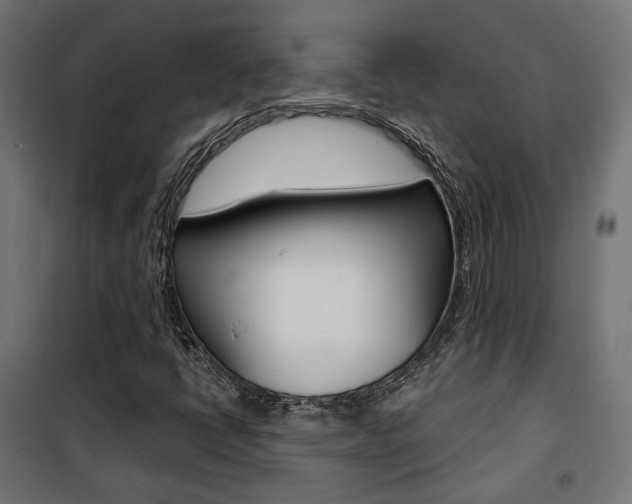 X0000101401398200807071018